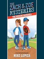 The_Missing_Baseball